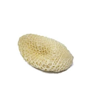 Bucho França ( Pedaços De 700 A 900 Gramas)