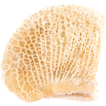 Bucho de Boi Congelado ( Peso varia de 500 a 700g)