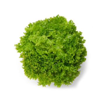 Alface Crespa (Unidade)