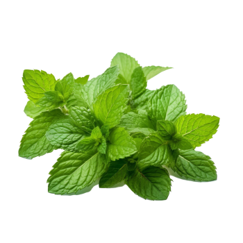 Hortelã (Pacote)