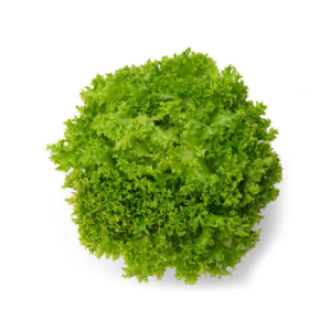 Alface Crespa (Unidade)