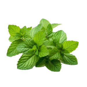 Hortelã (Pacote)