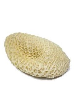 Bucho França ( Pedaços De 700 A 900 Gramas)