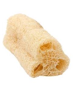 Bucha Vegetal Grossa