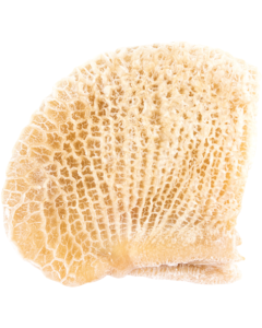 Bucho de Boi Congelado ( Peso varia de 500 a 700g)