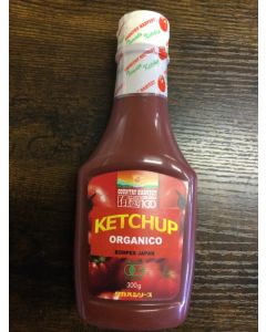 Ketchup Orgânico  300G